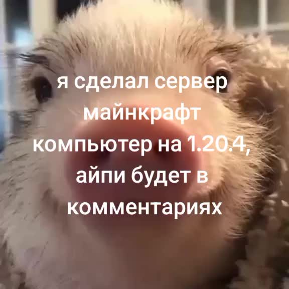 @Расиэнэрэ