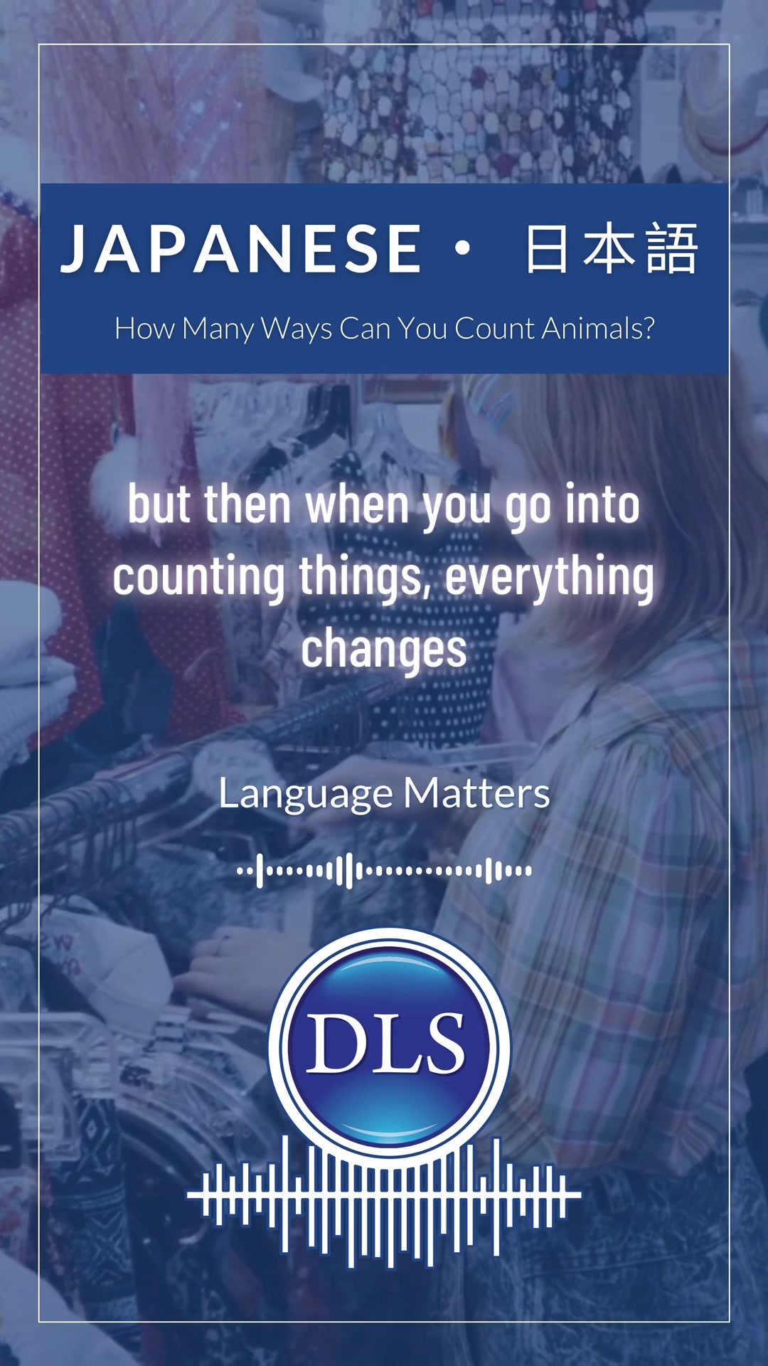 @Diplomatic Language Services