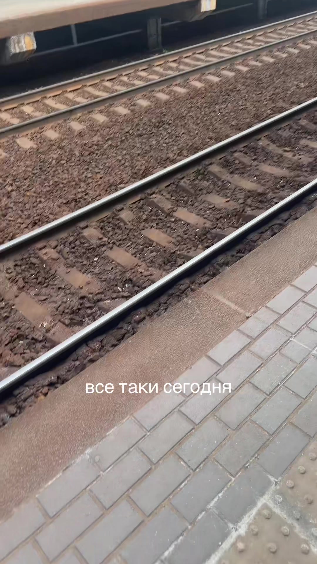 @тг | diank_aaa21