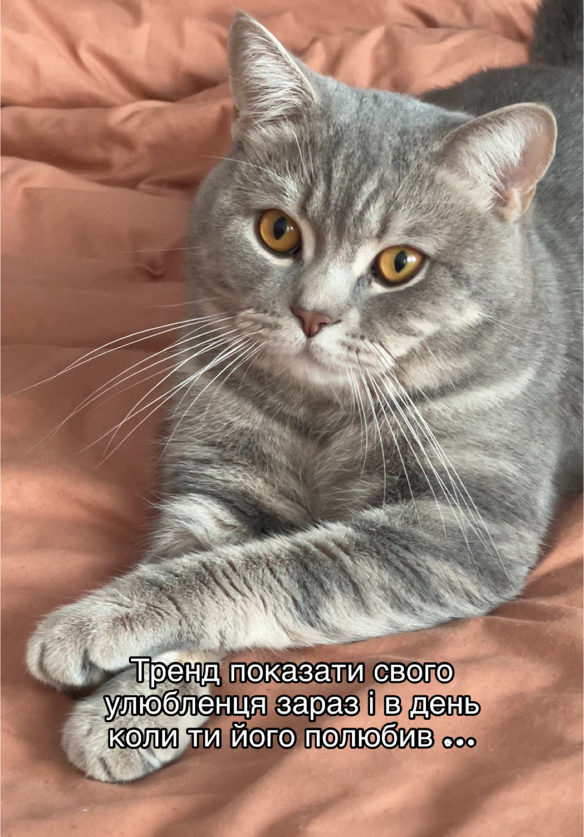 @ᴋʀɪꜱᴛɪɴᴀ