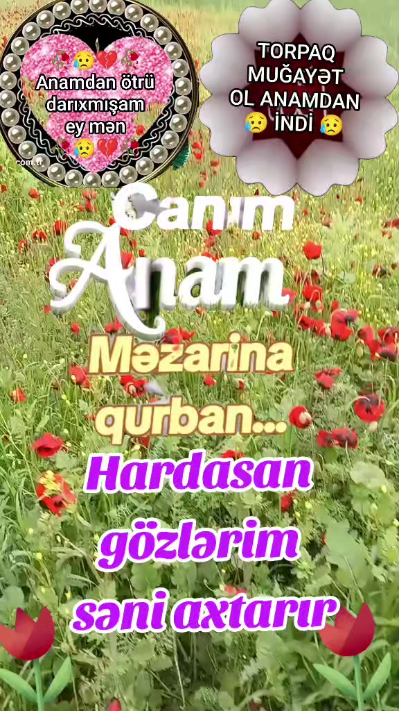 @Müqəddəs baba-1