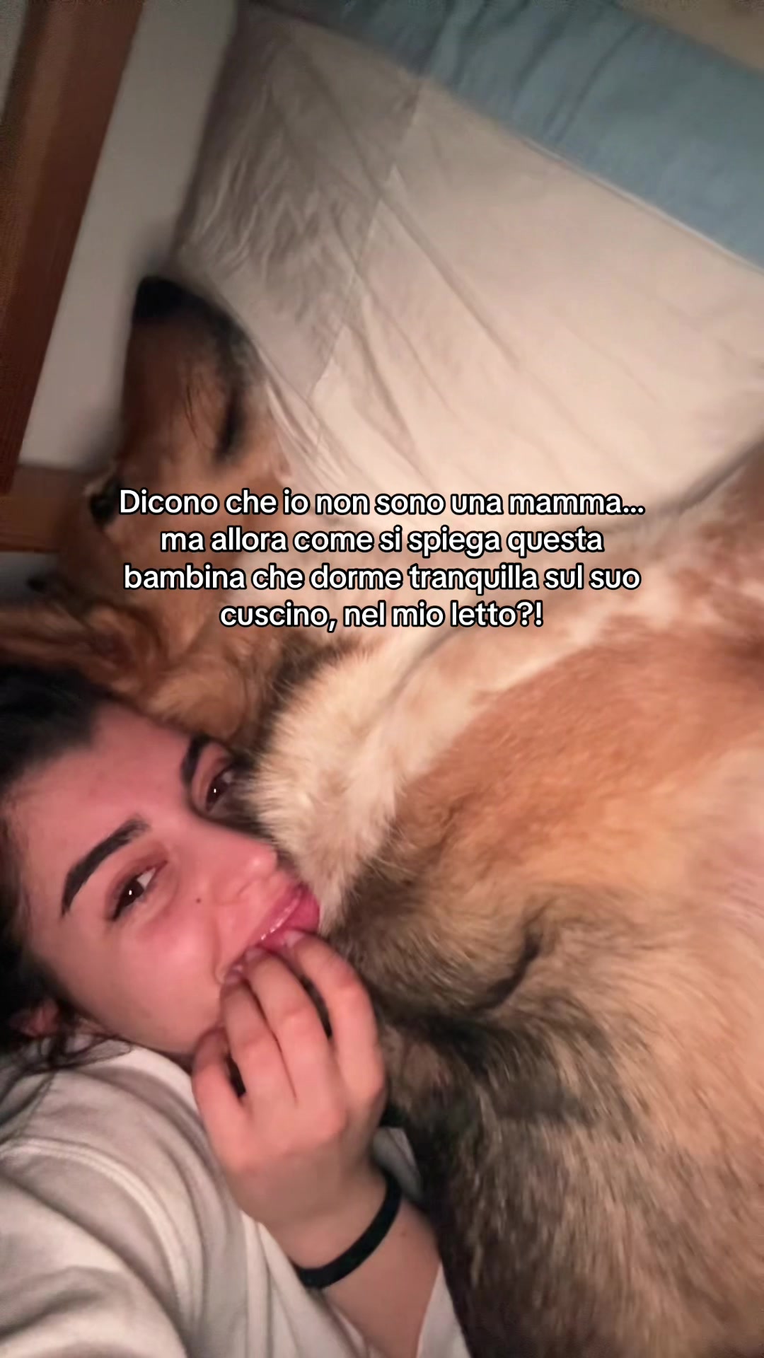@alice peccerillo