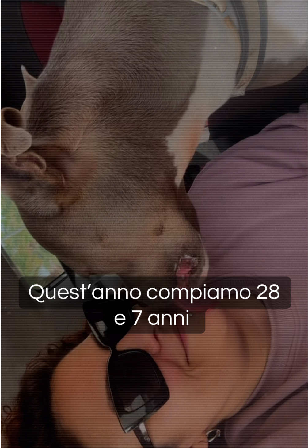@Giulia Comella