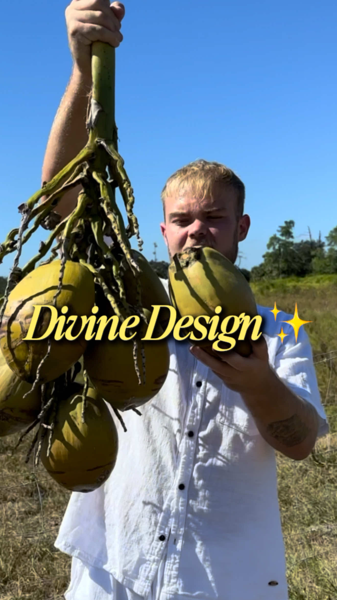 @Grow your Own lives
