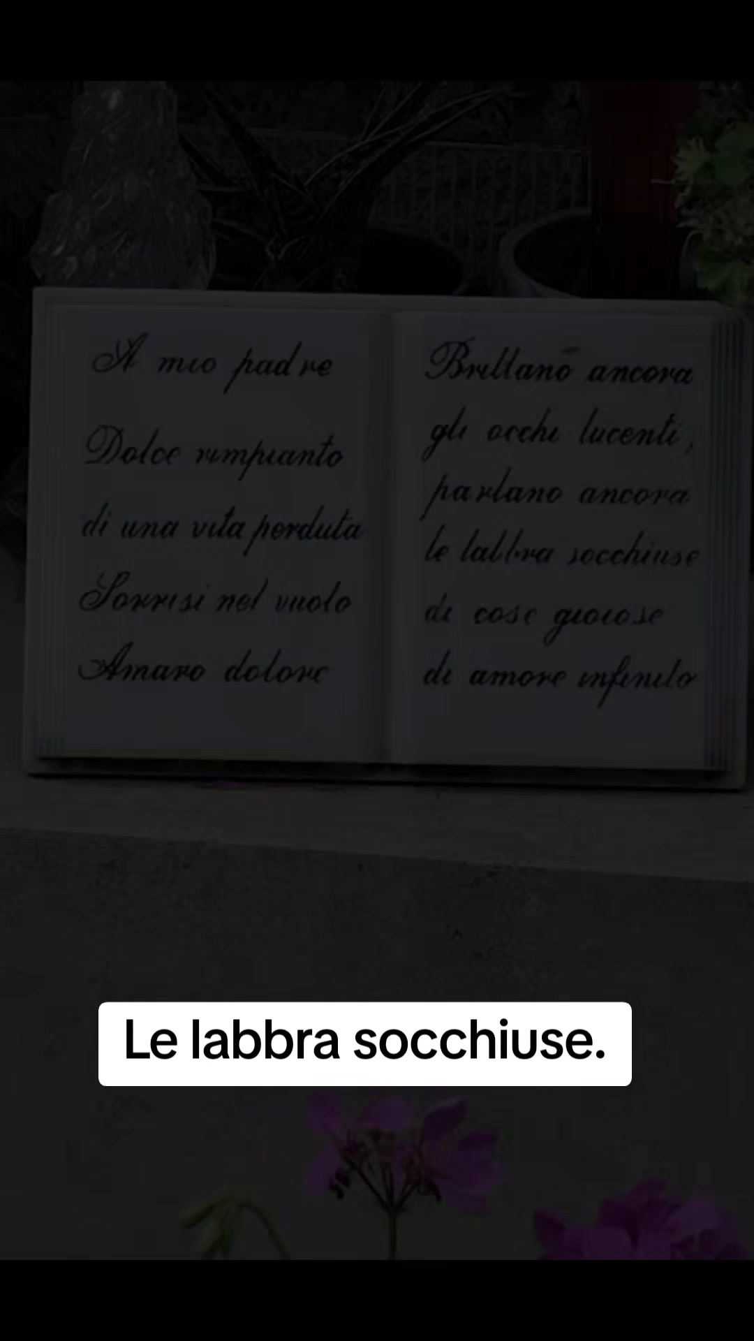 @antoniodotoli