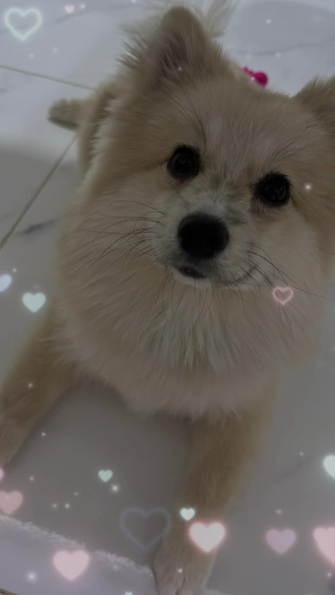 @Nipz Wu