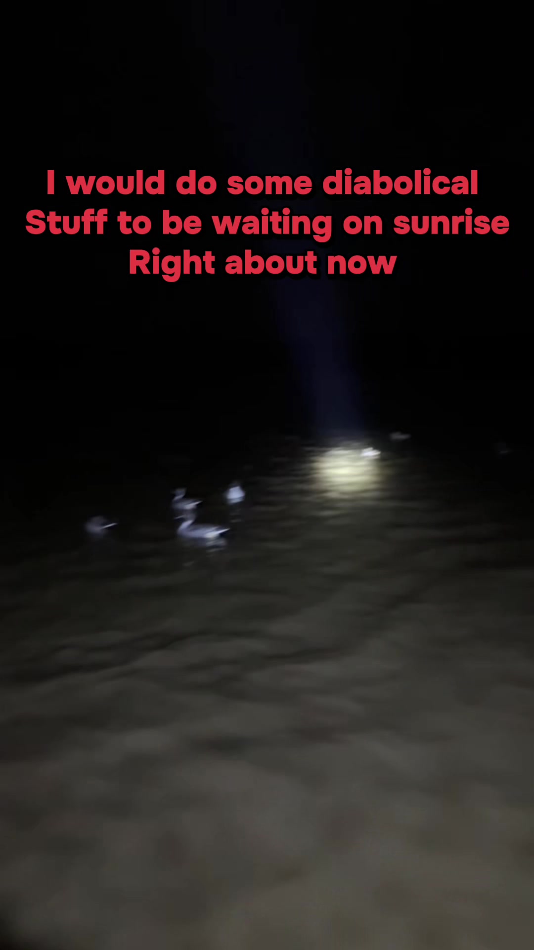 @MudFlat Media Waterfowl