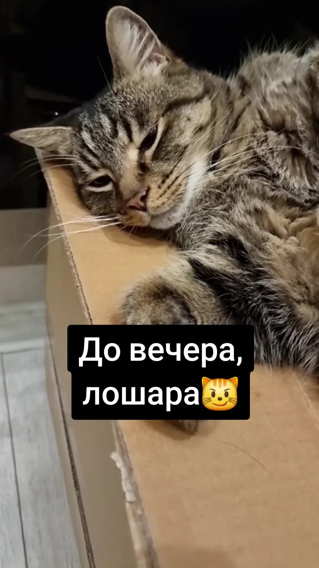 @Женька и Барсик🇱🇻