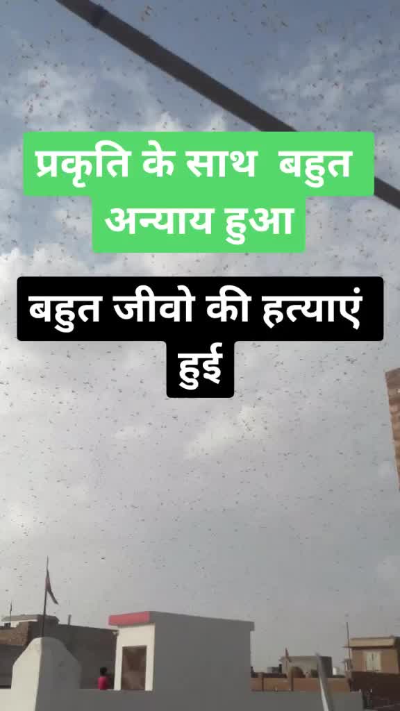 @rajasthani chhora