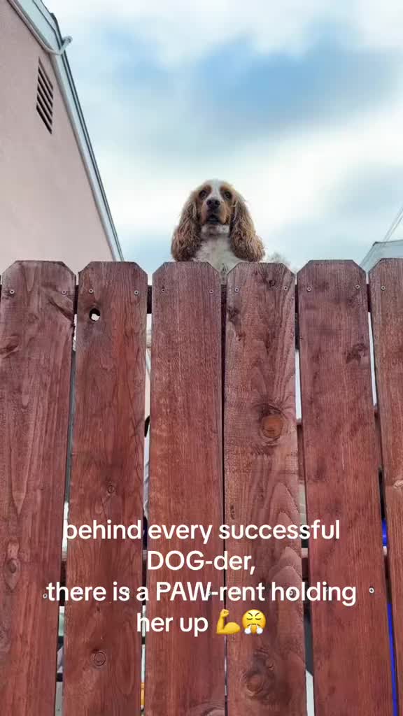 @Coco🐾✨