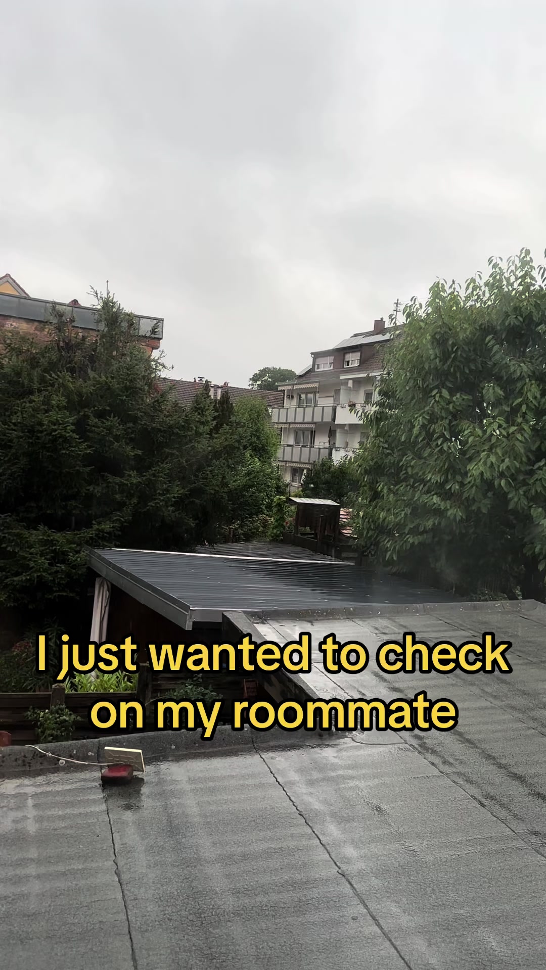 @Adela