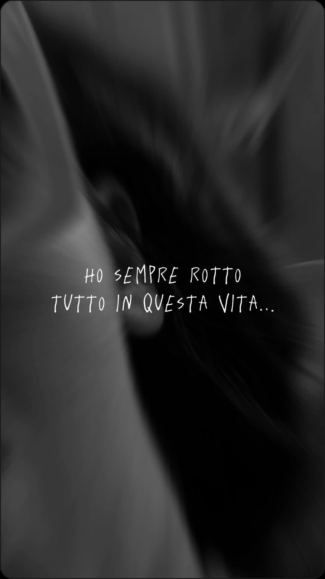 @🐈⬛fusa01