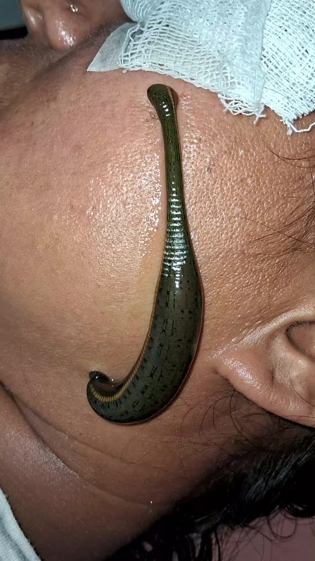 @Bramha Ayurveda