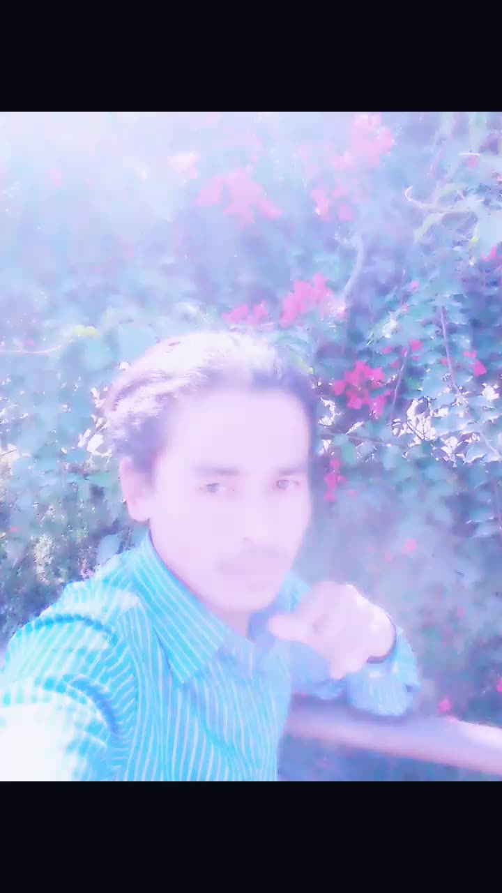 @dendrabhujel