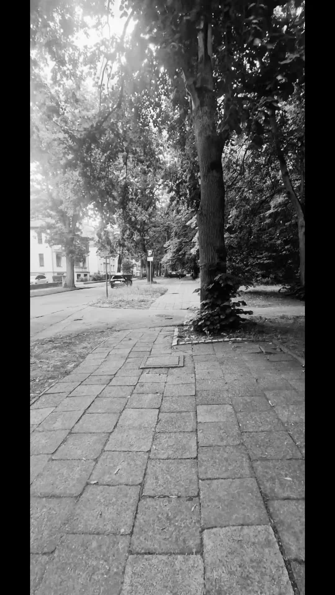 @Narrator Życia