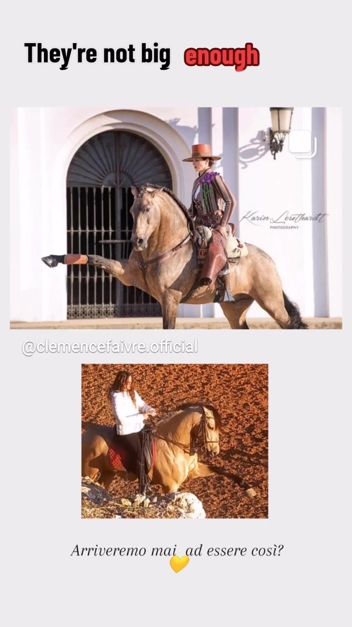 @Chiara Vitali 🐴