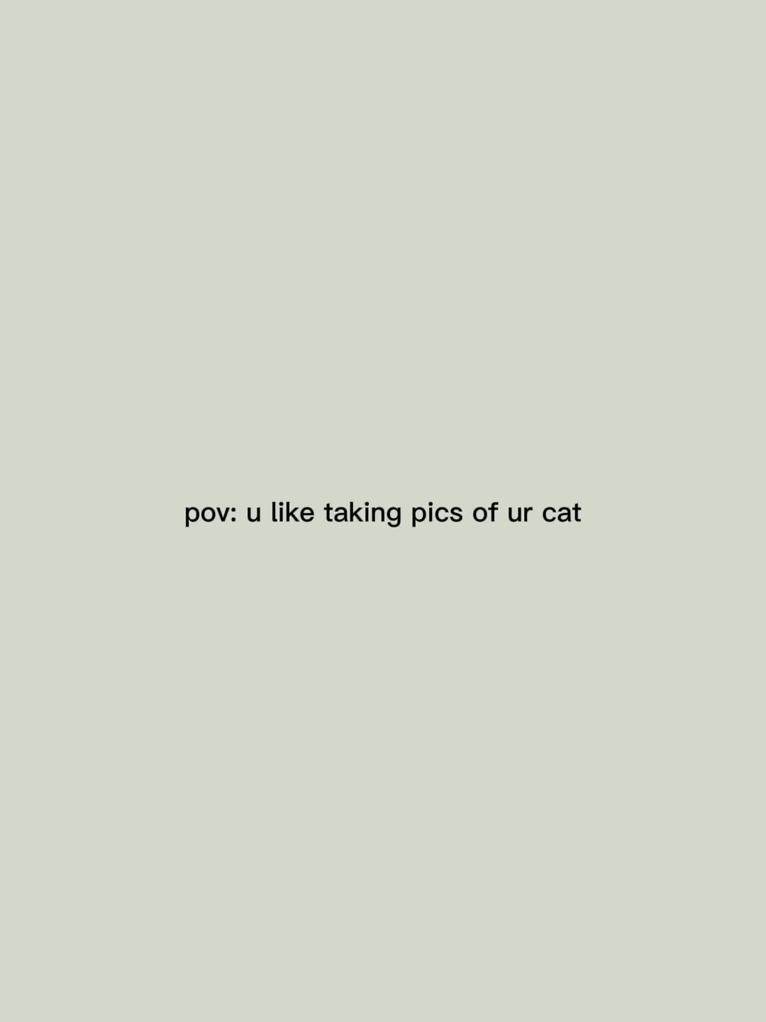 @cowboycatdad