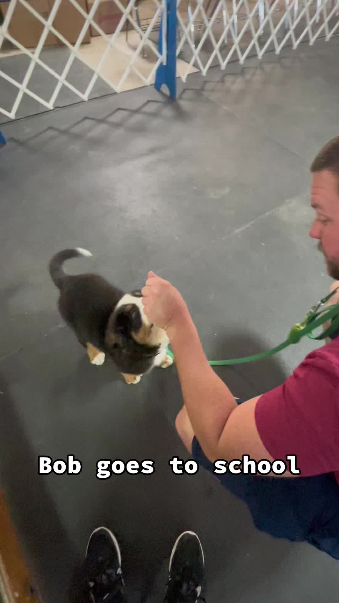@Bill&Bob