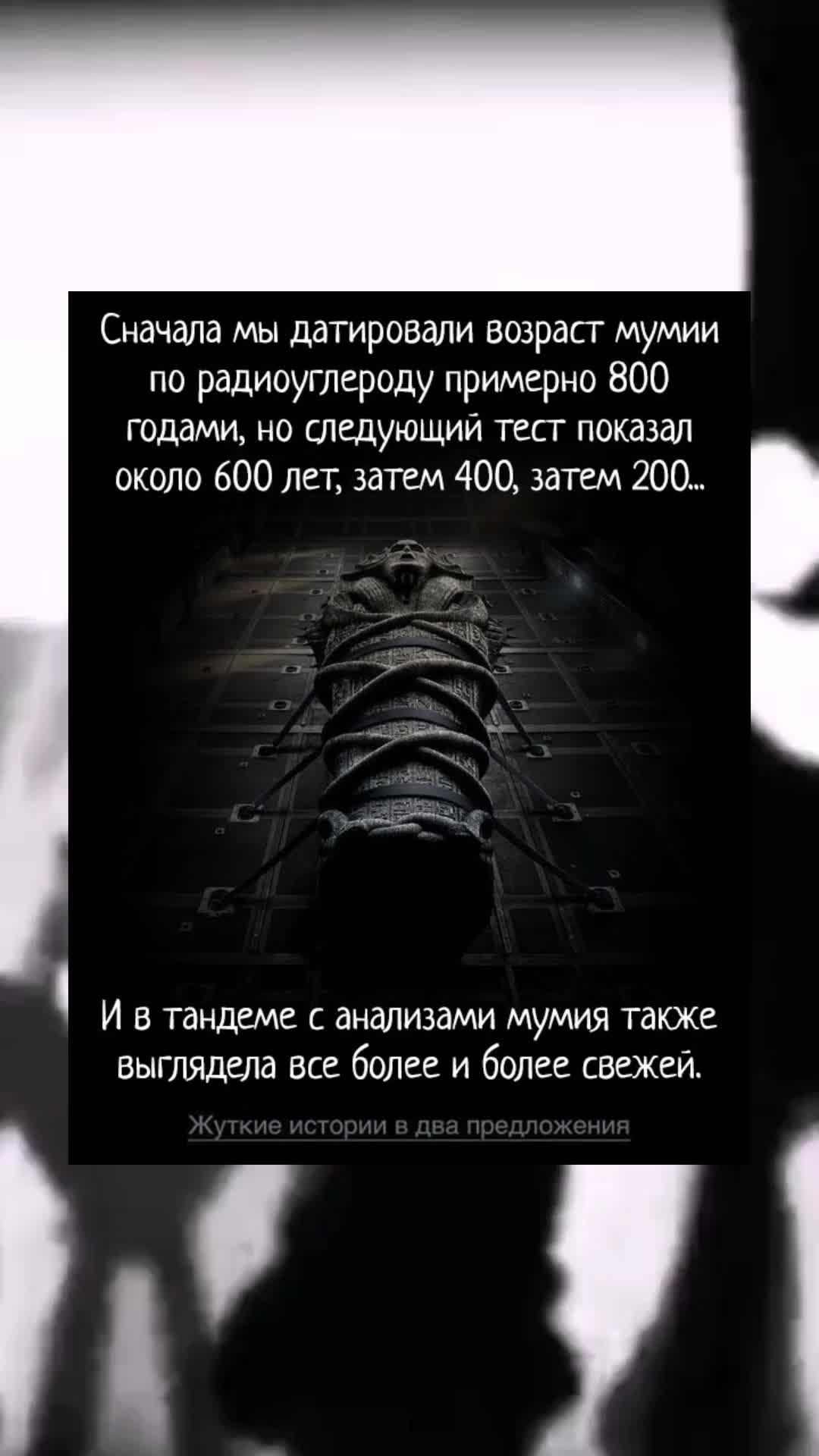 @𝚟𝚎𝚛𝚋𝚘4𝚔𝚊