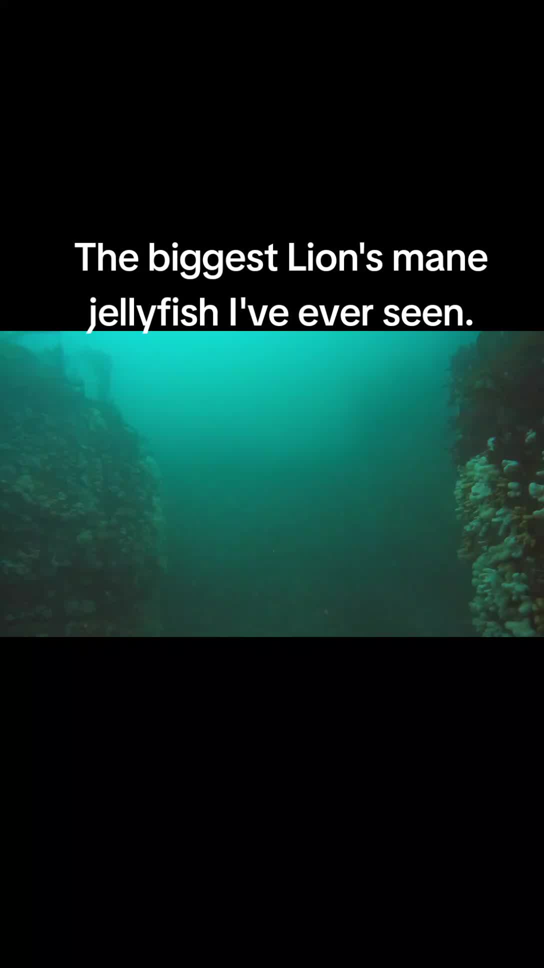 @@stutubediving
