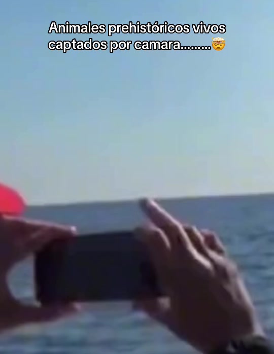 @CURIOSIDADES