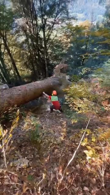 @cäp. Nänduu