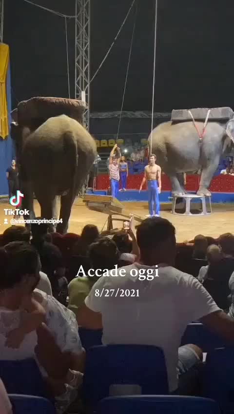 @Vincenzo Principe