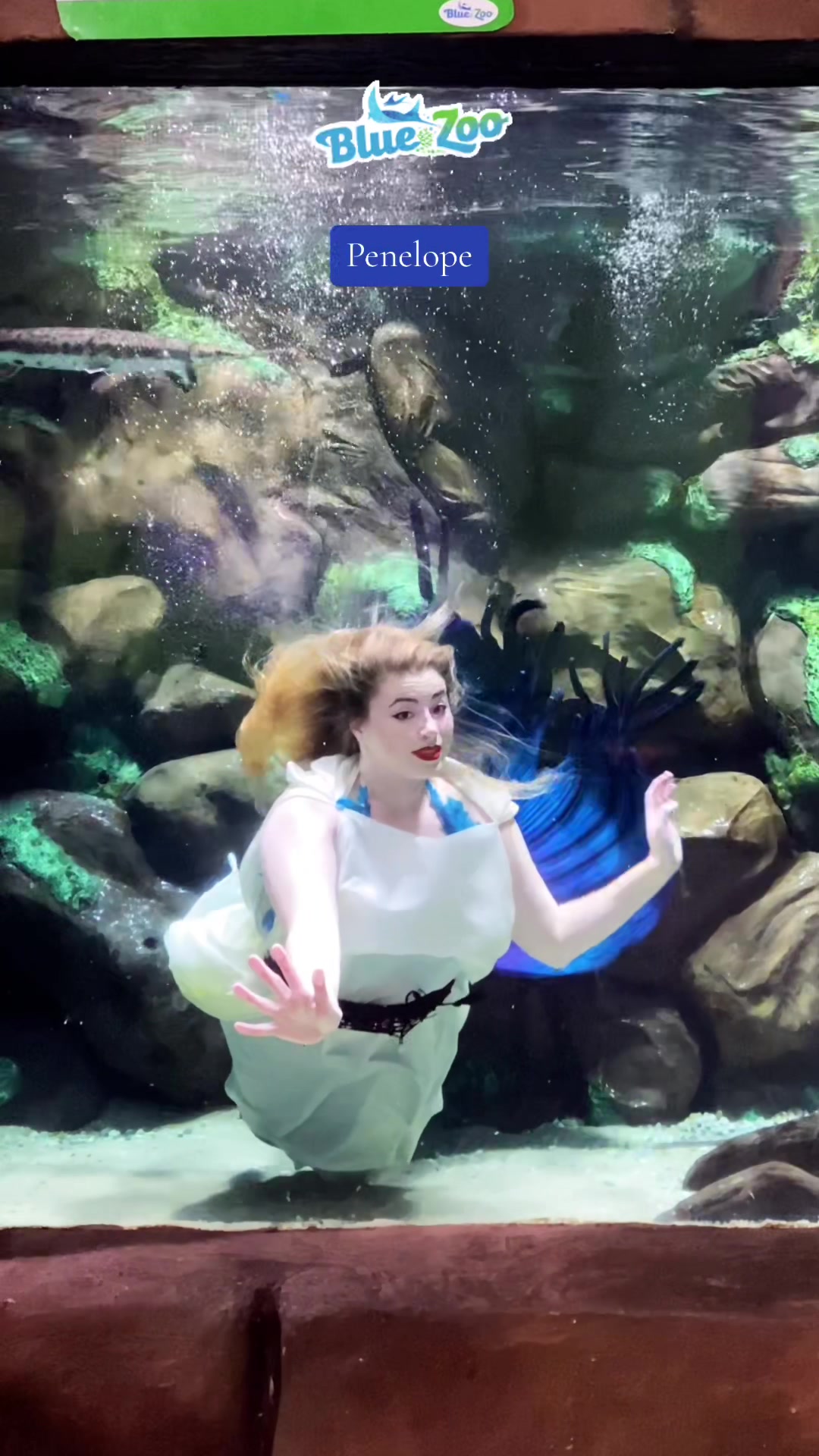 @Rose the Mermaid