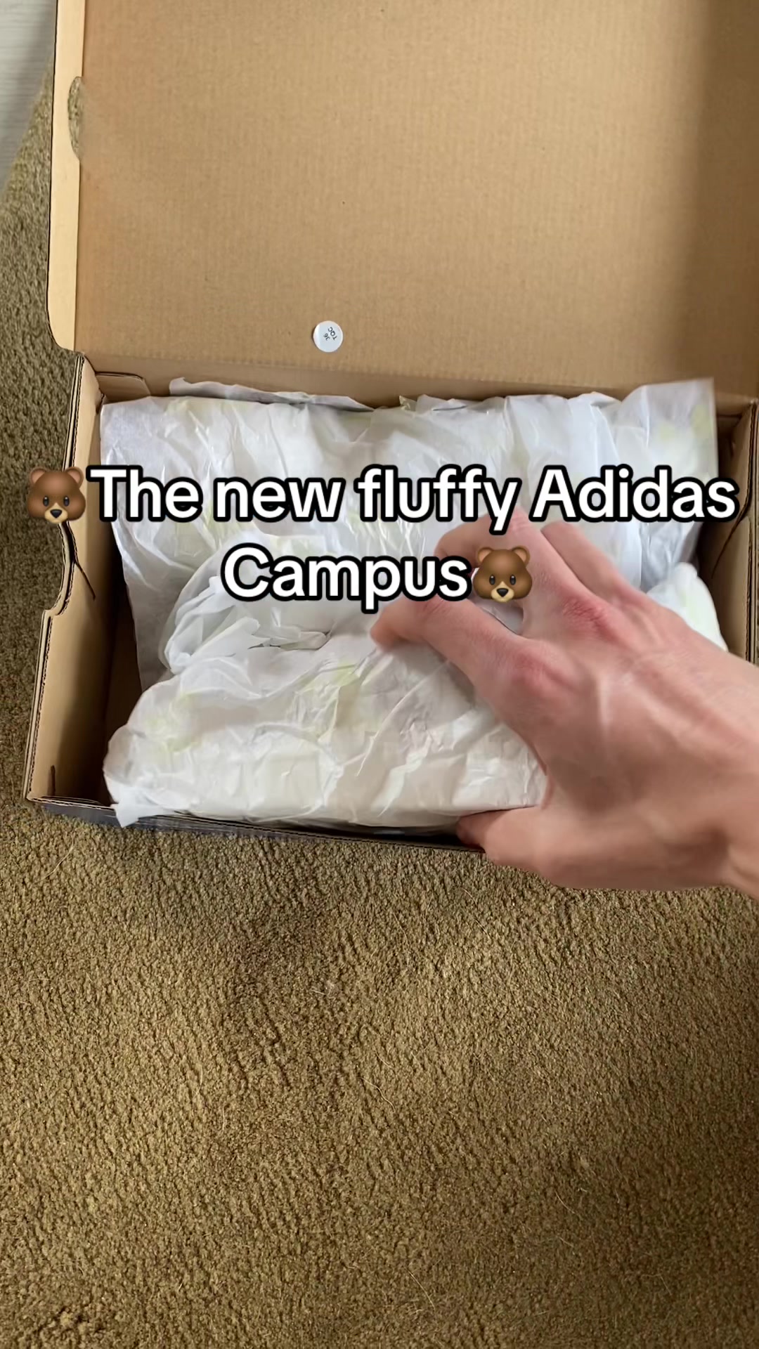 @dexnpep