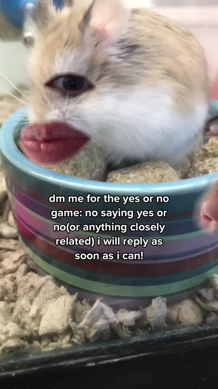 @b3stie.vib3s.0nly