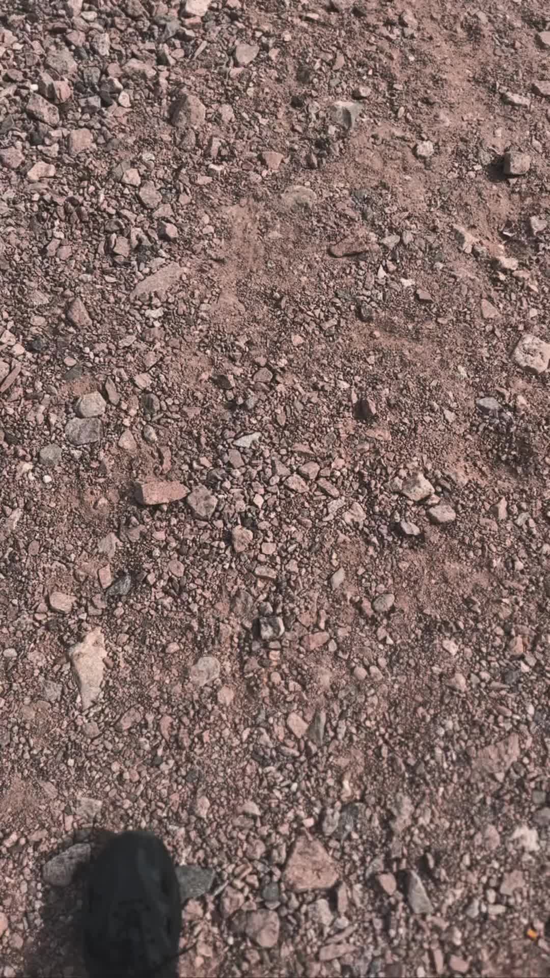 @omarihaabb
