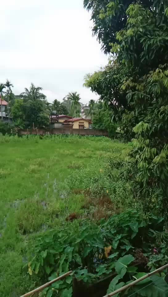 @@priyanka kalita