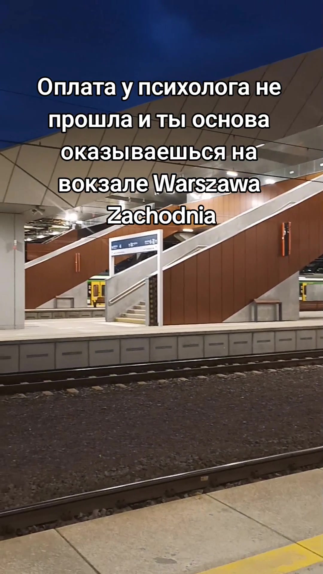 @Ксенон🍄