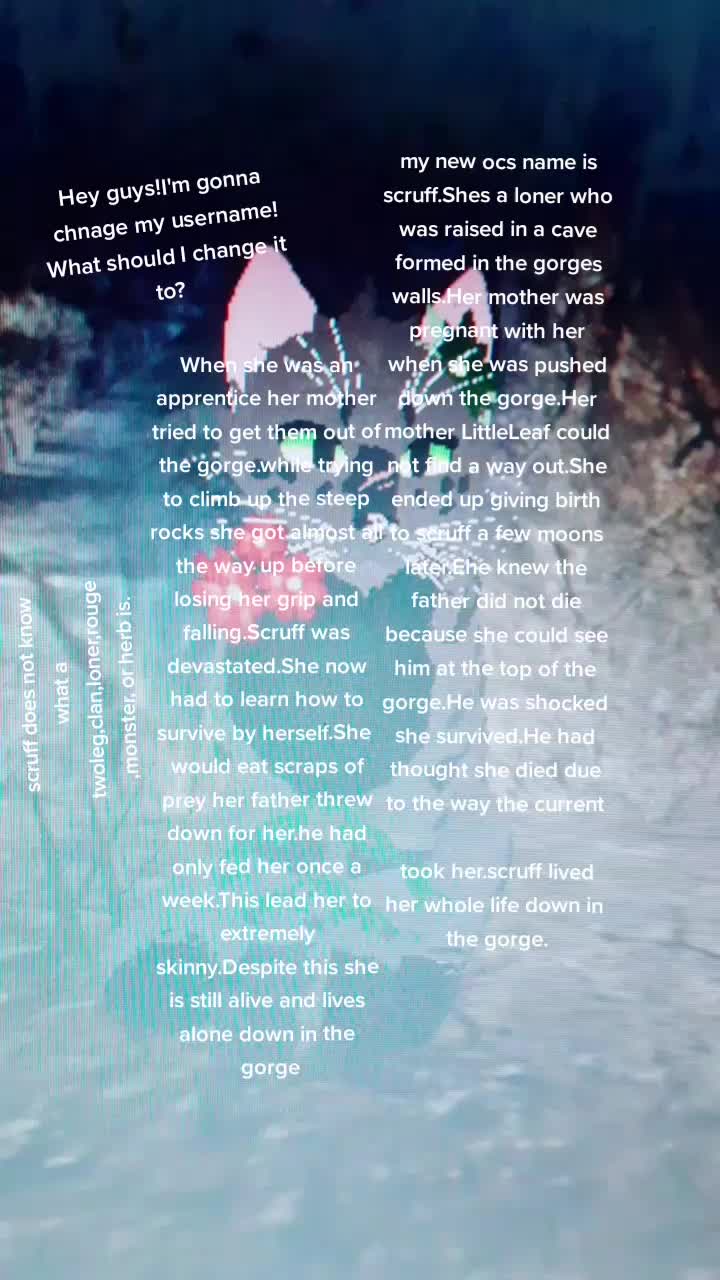 @warrior cats