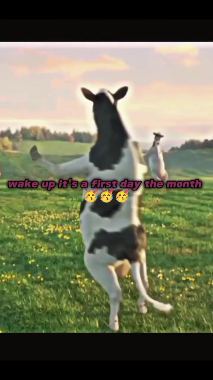 @Maëla25