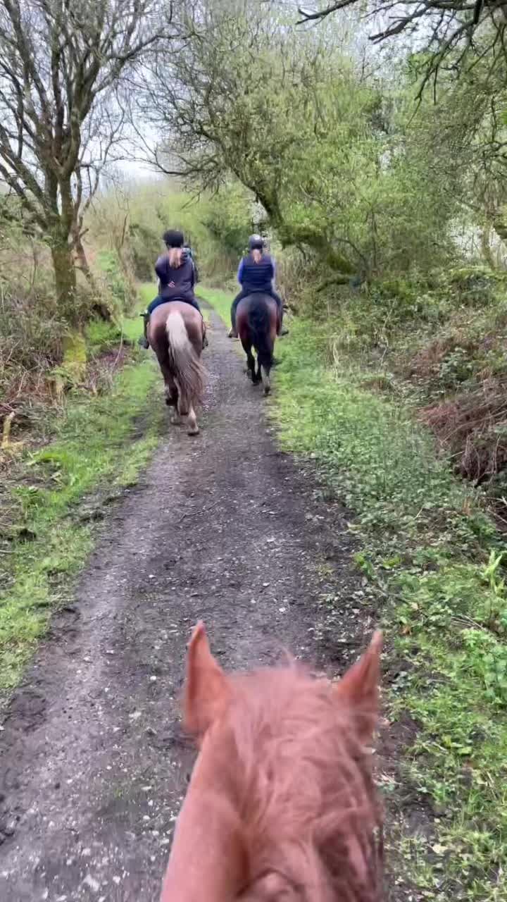 @Horses <3