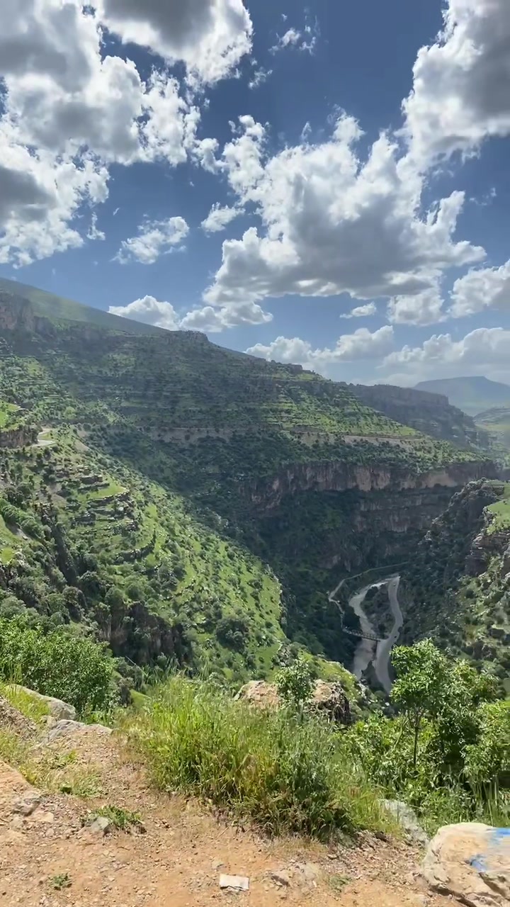 @Yaskokurd