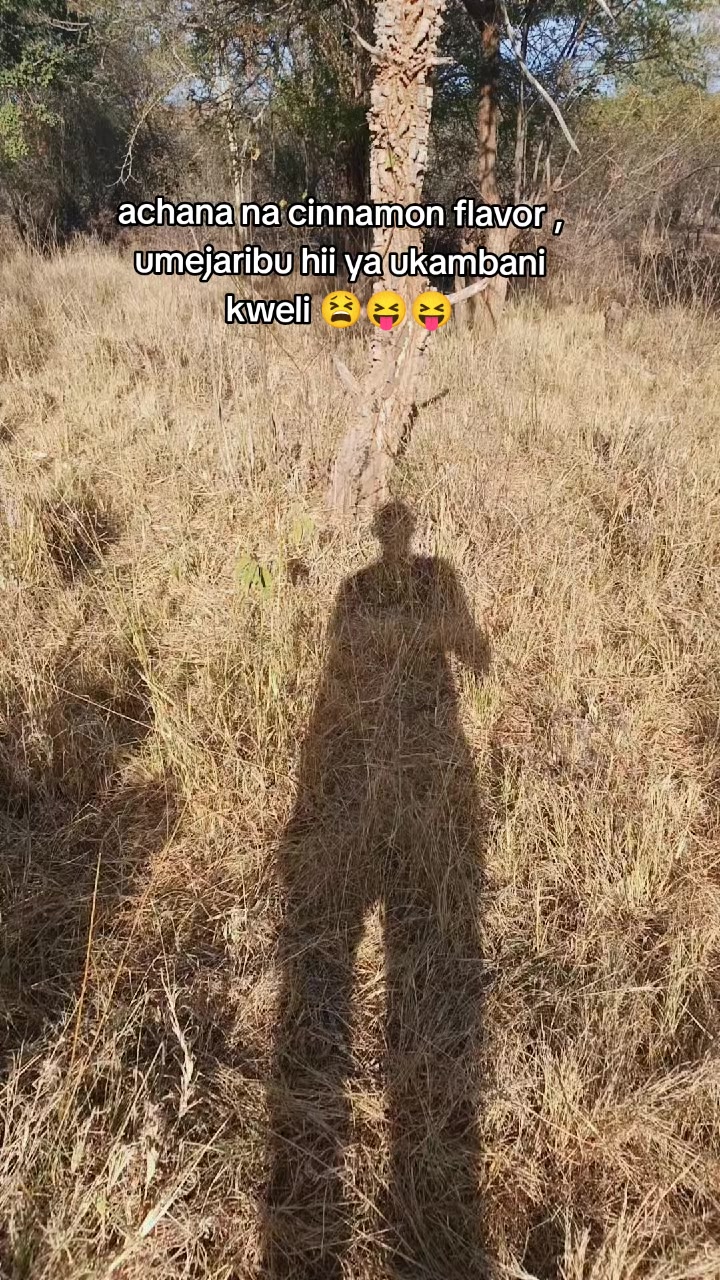 @✰𝐂𝐋𝐄𝐌𝐎𝐇✰