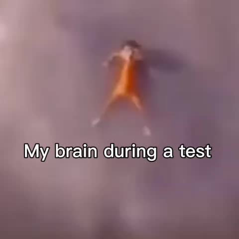@user711537645