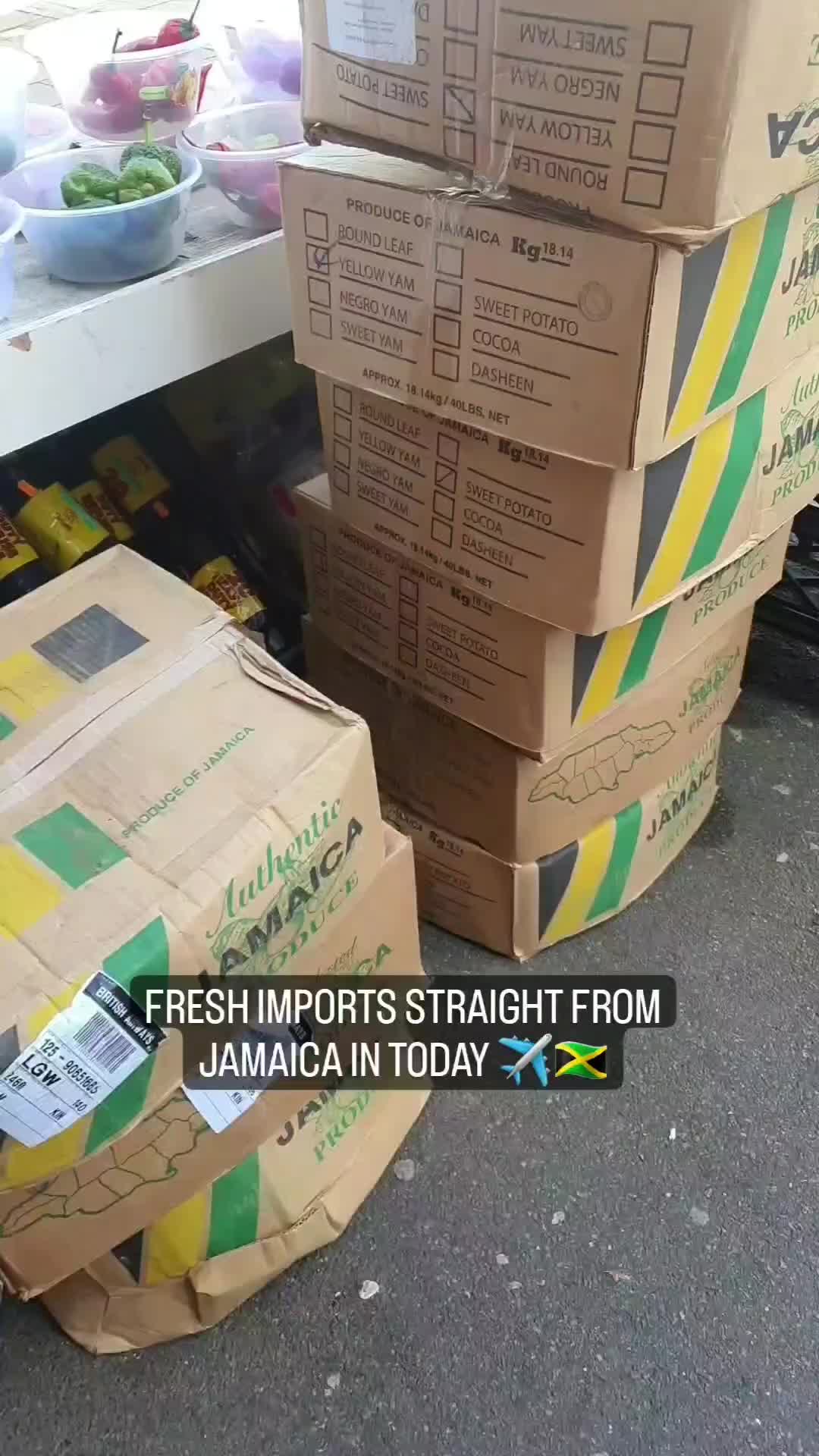 @freshexotic1