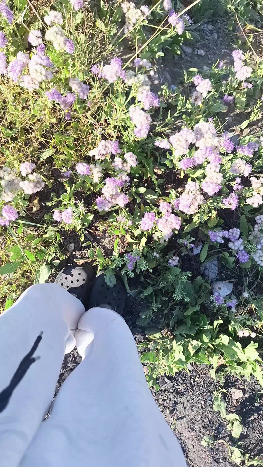 @Pikachuuu