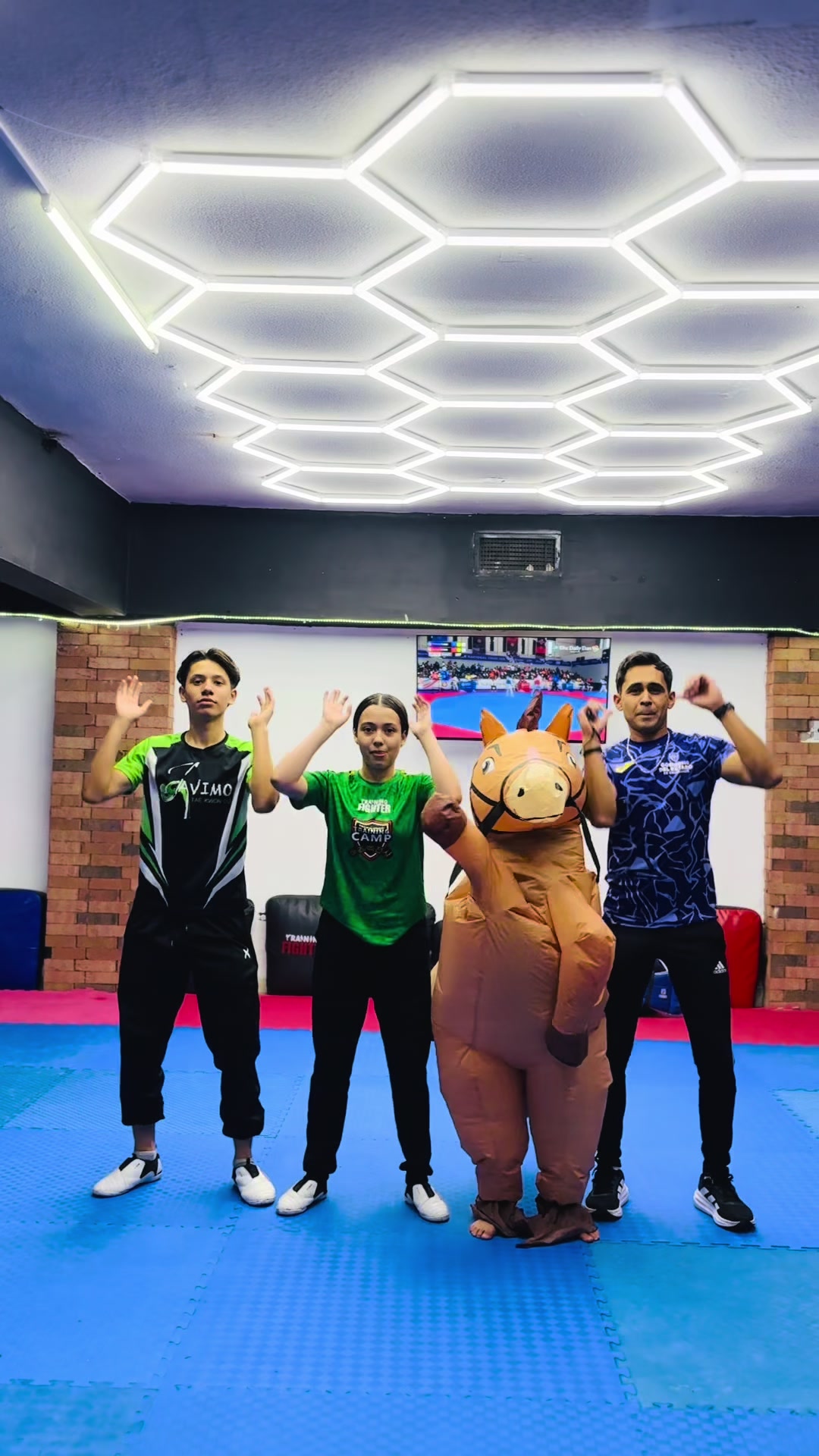 @Javimo Taekwondo