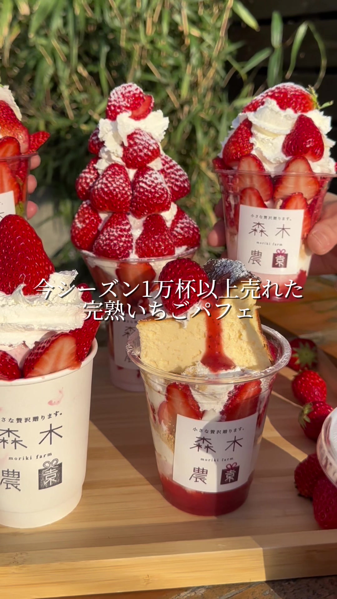 @森木農園