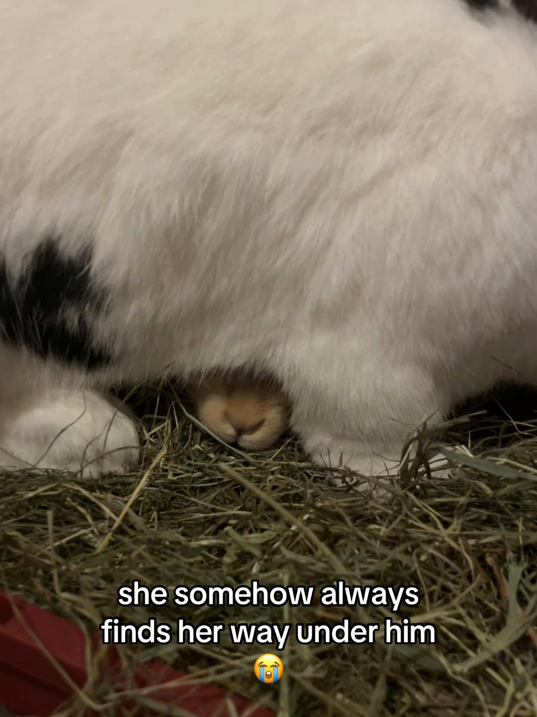 @Benski