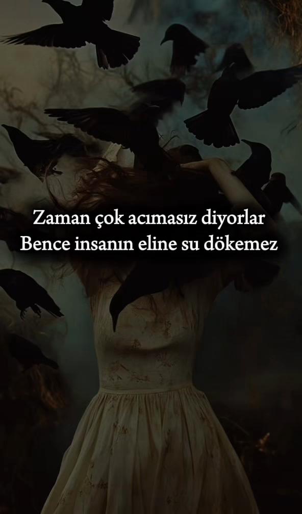 @вєηι güzєℓ нαтıяℓα