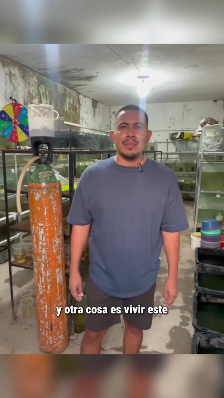 @Acuarios de Tehuac&aacute;n