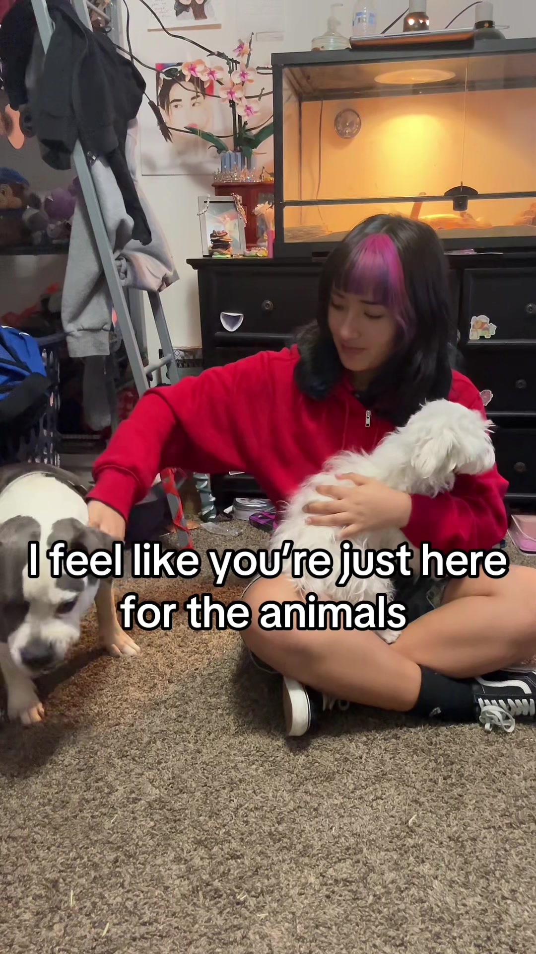 @Alikita⁷