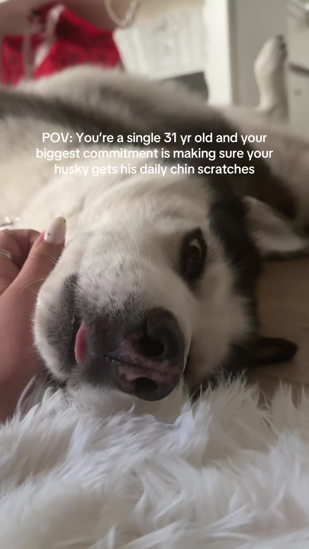@HayleyandtheBeast