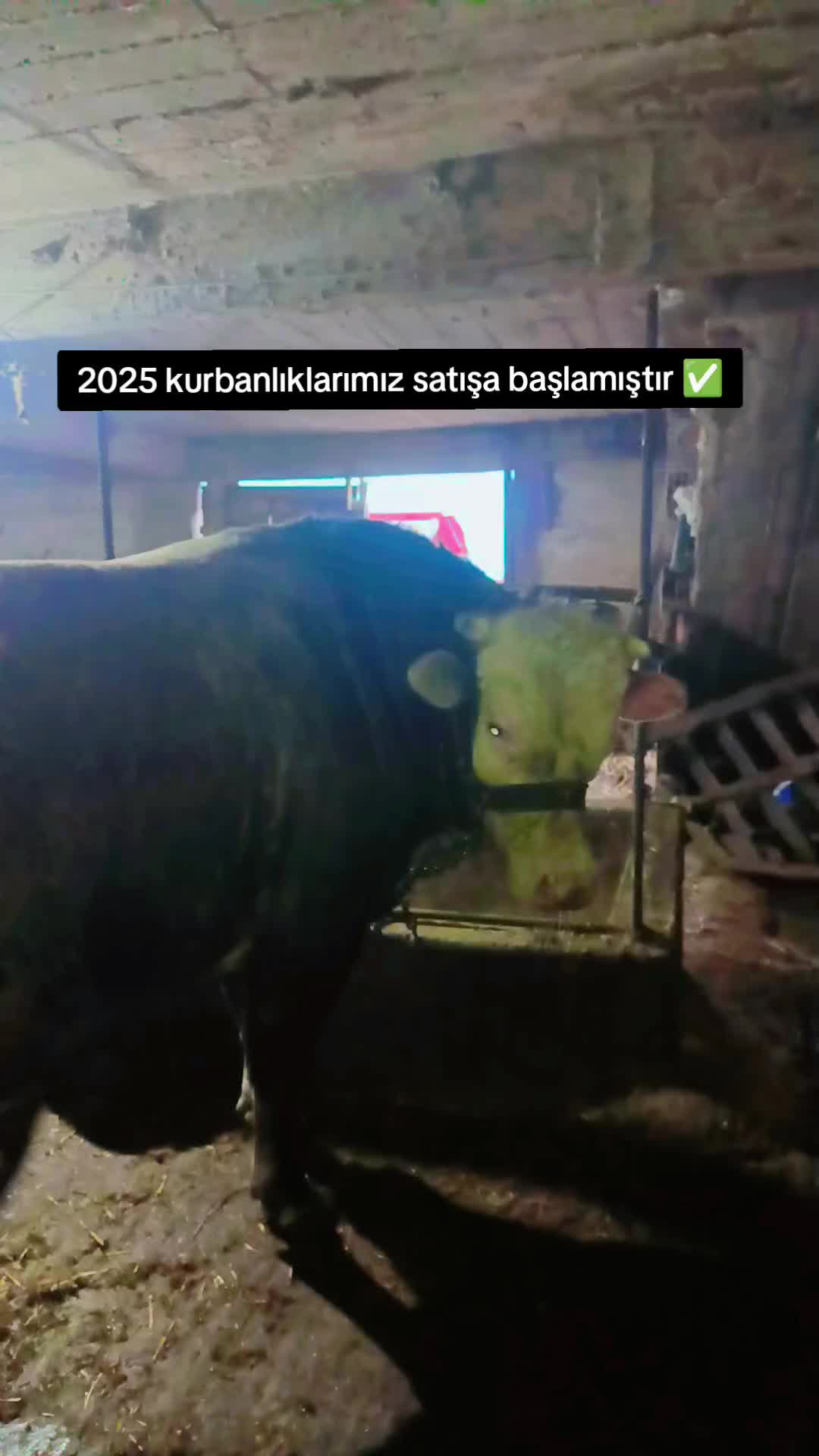 @Emir