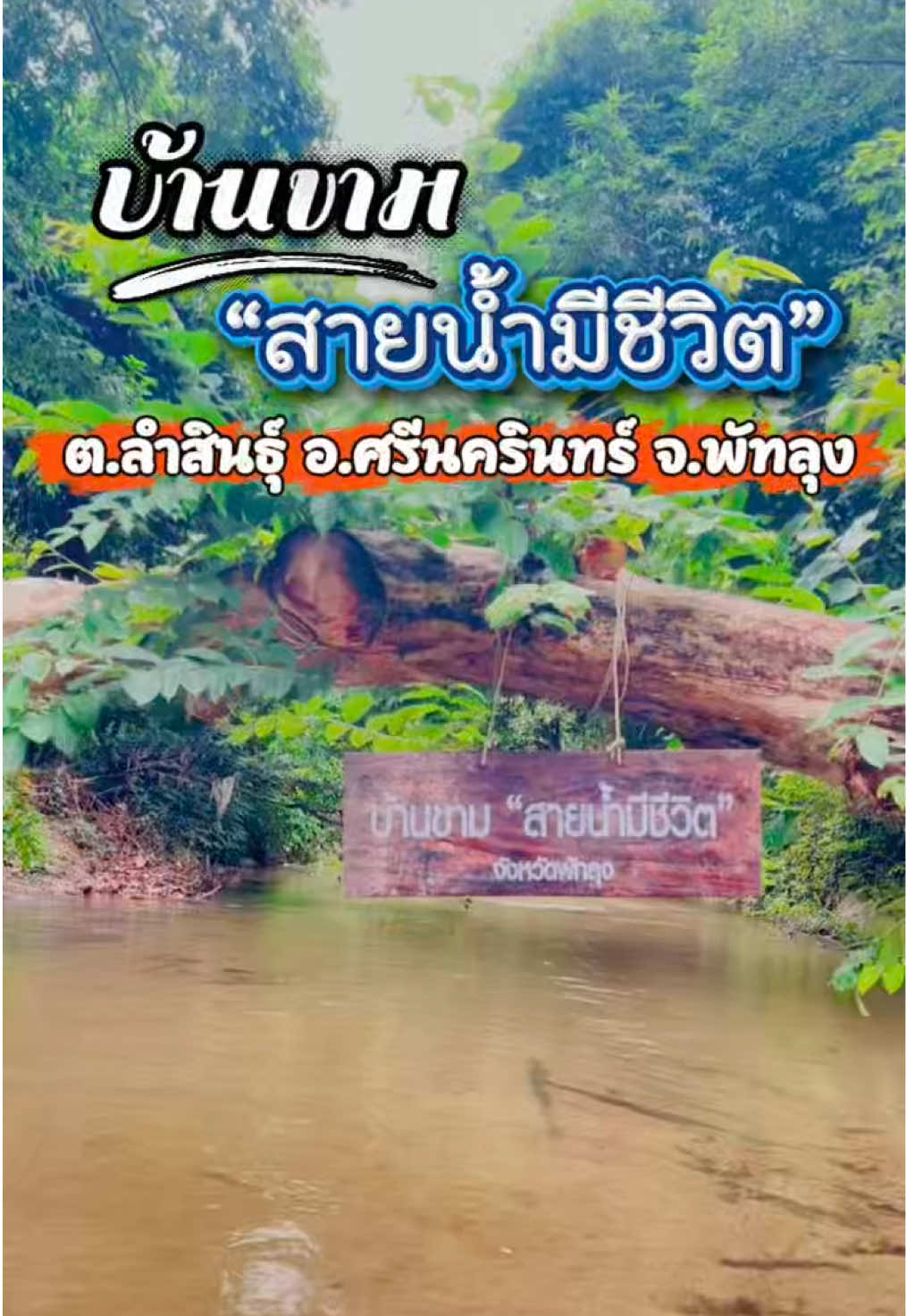@กินเที่ยวไปเรื่อย‘ˢᵀᴼᴿʸ(10.2K)